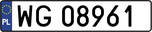 WG08961