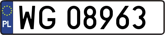 WG08963