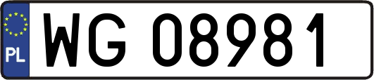 WG08981