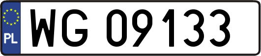 WG09133