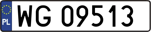 WG09513
