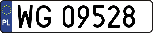 WG09528
