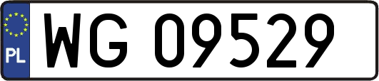 WG09529