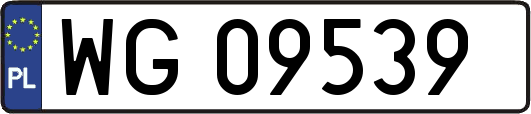 WG09539