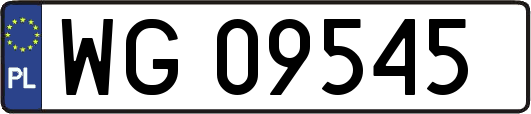WG09545