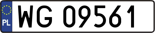 WG09561