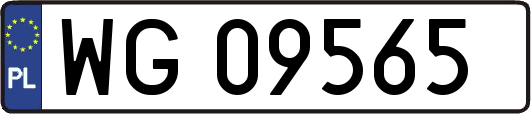 WG09565