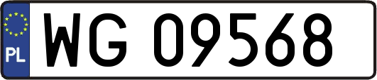 WG09568