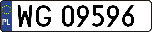 WG09596