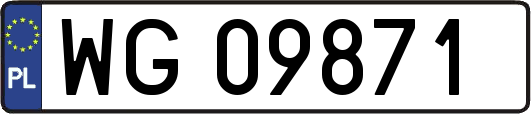 WG09871