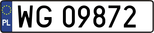 WG09872