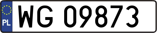 WG09873