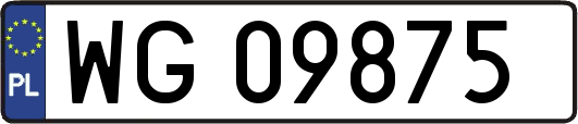 WG09875