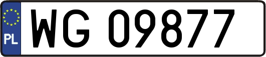 WG09877