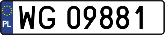 WG09881