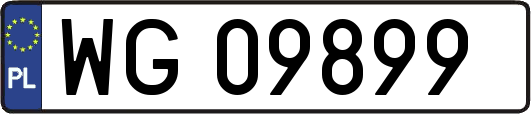 WG09899