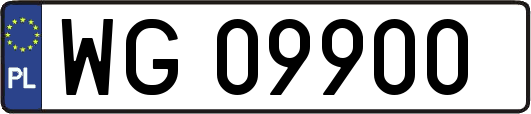 WG09900