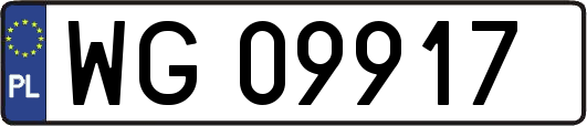 WG09917
