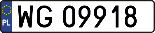 WG09918
