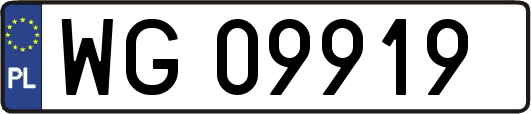 WG09919