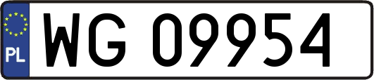 WG09954