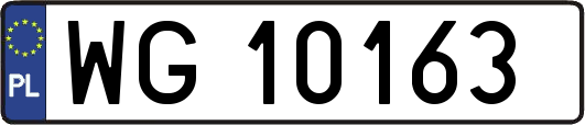 WG10163