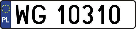WG10310