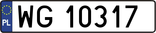 WG10317