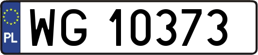 WG10373