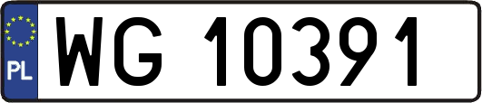 WG10391