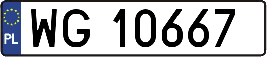 WG10667