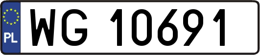 WG10691