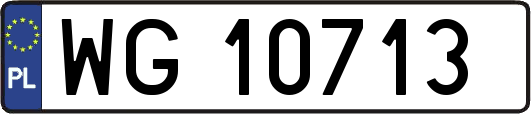 WG10713