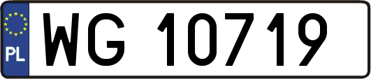 WG10719
