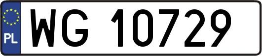 WG10729
