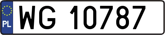 WG10787