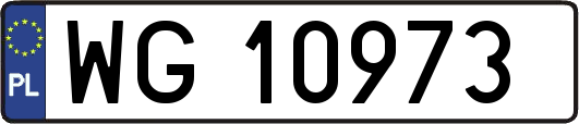 WG10973