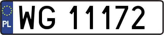 WG11172