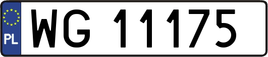 WG11175