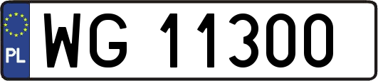 WG11300