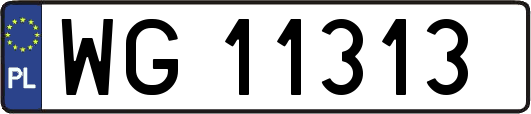 WG11313