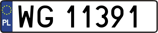 WG11391