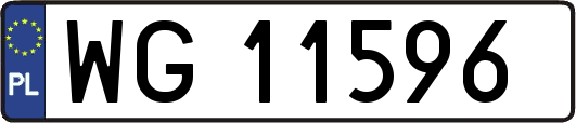 WG11596