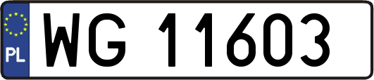 WG11603