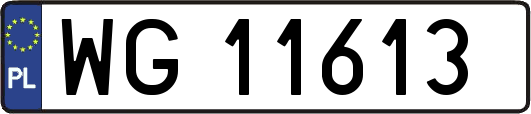 WG11613