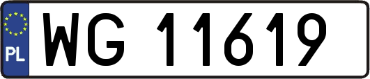 WG11619