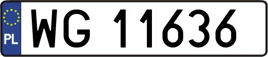 WG11636