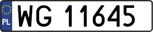 WG11645