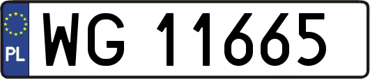 WG11665