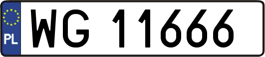 WG11666